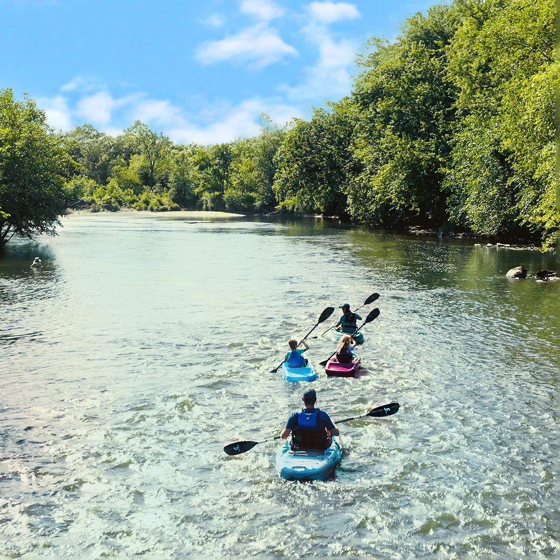 Paddle Your Way to Better Physical and Mental Health!